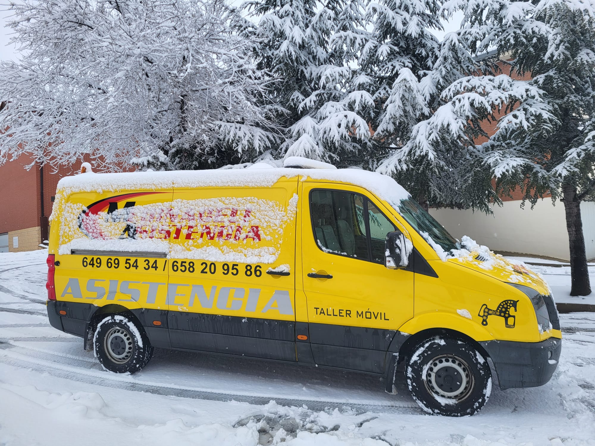 WhatsApp Image 2025-11-26 at 10.09.23 (1)